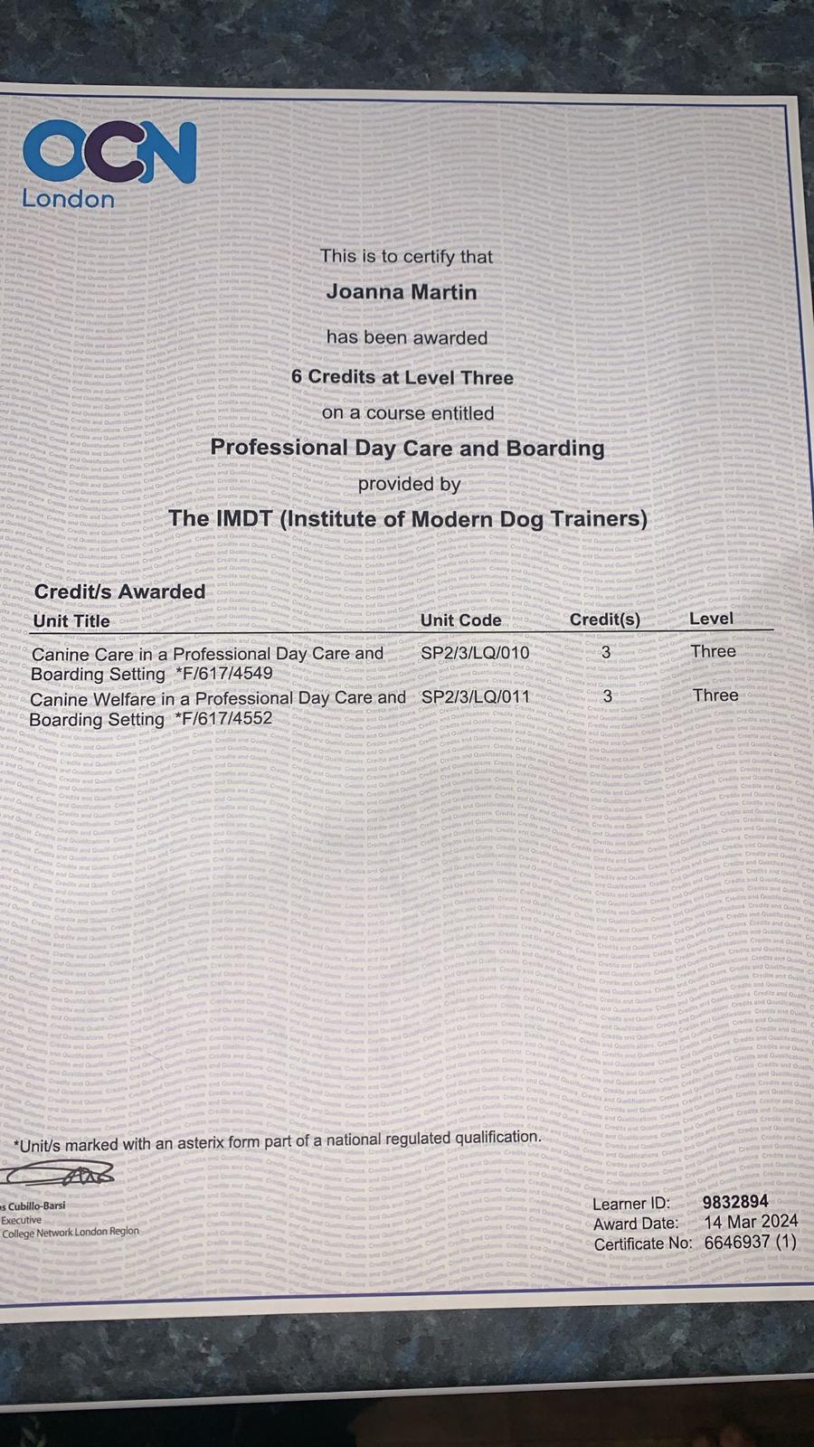OCN London Level 3 qualification in Professional Day Care and Boarding via IMDT